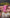 Video alt text